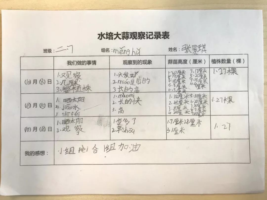 文华自然教育之水培大蒜 | 文华小学